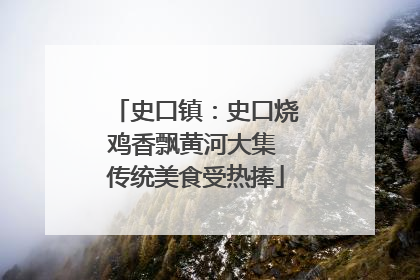 史口镇：史口烧鸡香飘黄河大集 传统美食受热捧